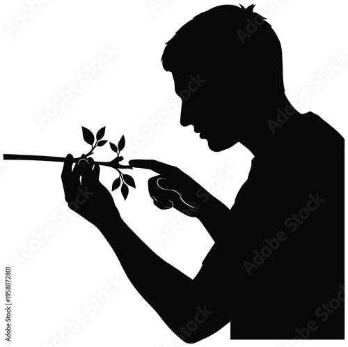 Silhouette of a man touching a plant branch, nurturing growth, and examining leaves in profile.
