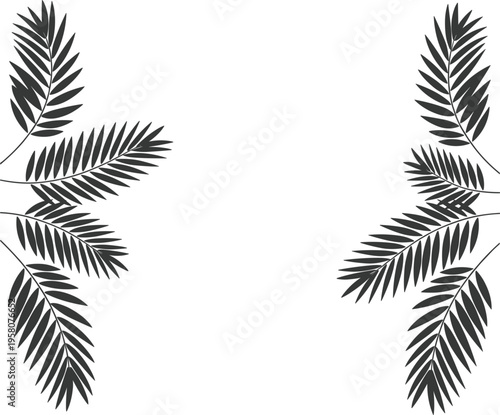 Tropical palm leaf border vector, black silhouette of exotic fronds for summer beach party and wedding invitations