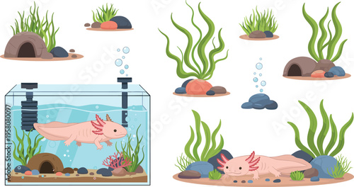Axolotl aquarium set with aquatic plants, rocks and habitat elements, cute underwater amphibian cartoon vector illustration collection