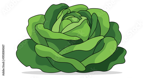 Adobe Illustrator Artwork