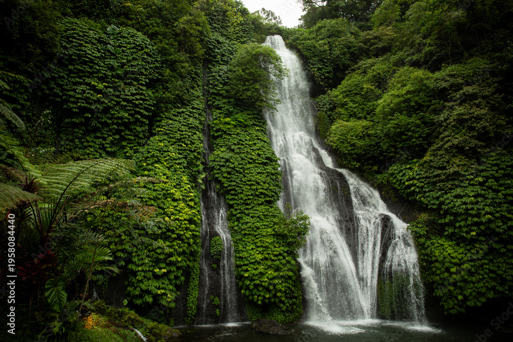 Obraz premium Water cascades down a tall cliff surrounded by green plants