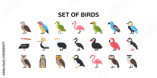 A comprehensive collection of various colorful bird species illustrated in a flat graphic style
