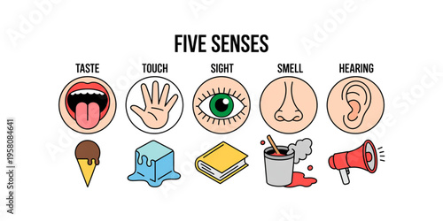 Educational chart illustrating the five human senses with icons representing taste touch sight smell