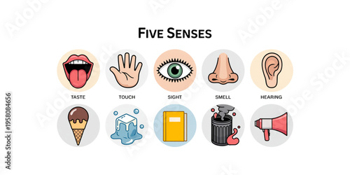 Educational infographic illustration depicting the five human senses with corresponding symbols