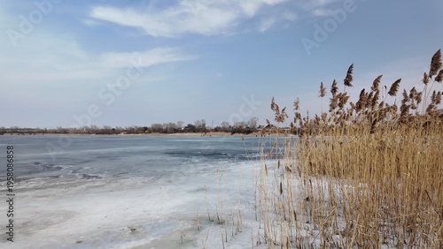 Schilderij op canvas Sunny winter day on a riverbank