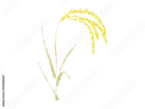 黄金色の稲穂を垂らす稲の水彩イラスト