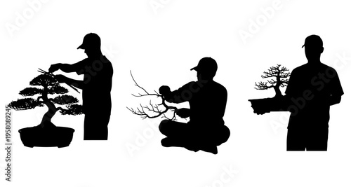 Bonsai Master Pruning Miniature Tree in Pot Gardener Shaping Tiny Plant Zen Horticulture Craft