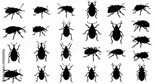 Collection of black beetle silhouettes on white background various shapes and sizes insect icons