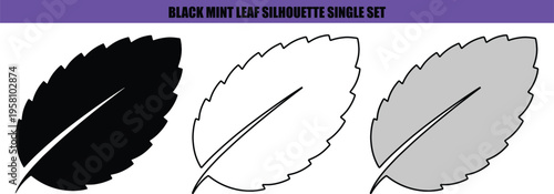 Black white gray mint leaf silhouettes set