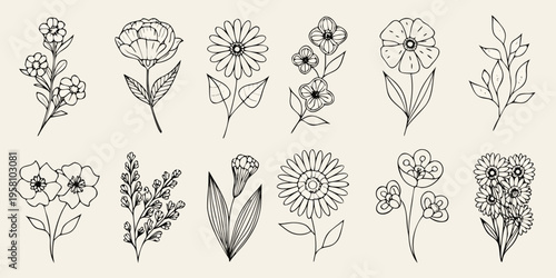A collection of delicately drawn floral illustrations in black and white