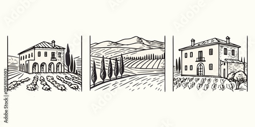 Tuscan countryside illustration depicting villas vineyards and rolling hills