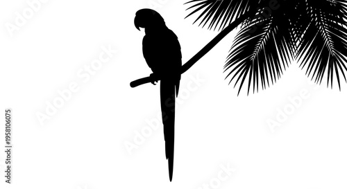 Silhouette of a parrot perched on a palm tree branch against a white background tropical vacation concept