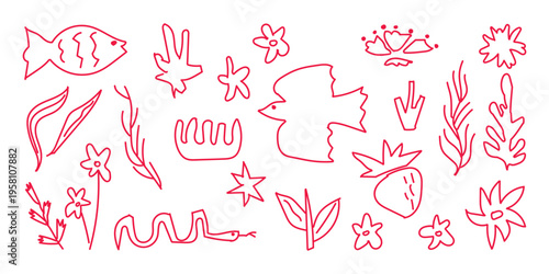 Underwater floral and faunal elements