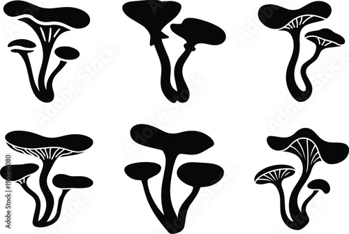 Set of Minimalist black dried fungus mushroom silhouette vector icon