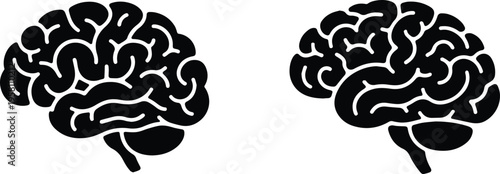 Human brain anatomy silhouette medical intelligence mind concept vector icon