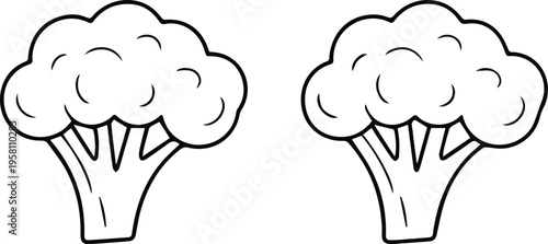Minimalist broccoli vegetable line outline icon healthy food organic nutrition vector