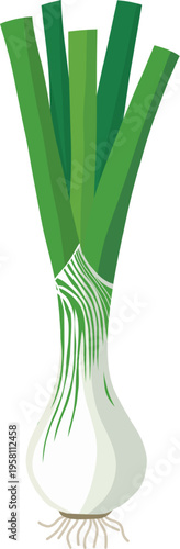 Fresh Leek Vegetable Flat Illustration