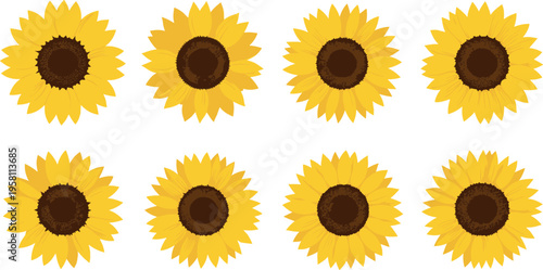 Sunflower Icon Set with Multiple Bloom Variations Yellow Petal Flowers and Brown Seed Centers for Botanical Nature Design Collection Isolated on White