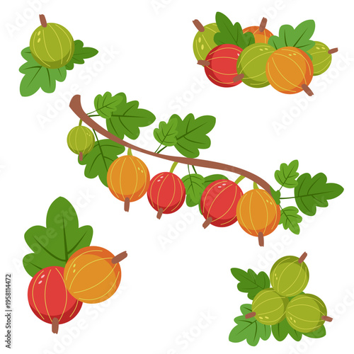 Gooseberry set with red and green berries, branches and leaves, on white background. For jam labels, packaging, recipe design.