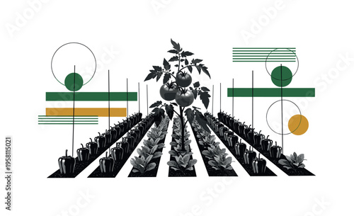 black and white tomato plant rising from organized garden rows with peppers and greens around it, geometric circles and horizontal bars forming structured