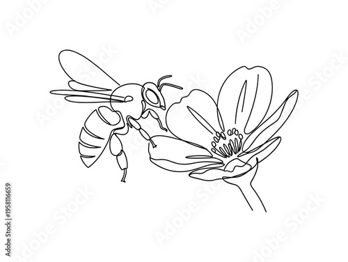 Bee and Flower Symbiosis. Minimalistic one-line drawing bee hovering near blooming flower showing pollination relationship, continuous single black line on
