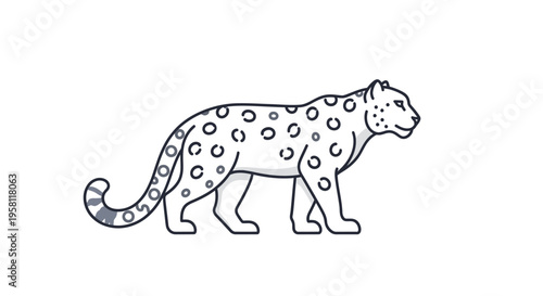 Leopard walking in profile view.