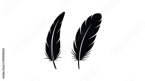 Two black feathers displayed against a white background silhouette