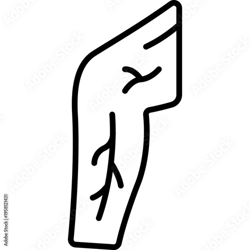 Veins Circulatory Vessel Fill Icon: Human Vascular System