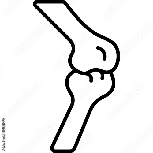 Bones Skeleton Anatomy Fill Icon: Human Body Structure