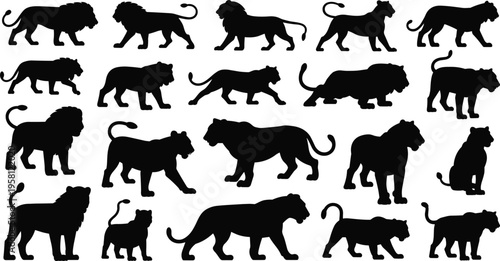 Lion silhouettes set, big cat wildlife collection in various poses walking standing sitting, safari animal illustration isolated on white background