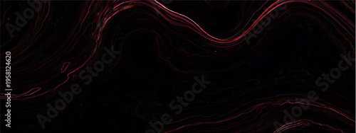 Vector Elegant red fluid abstract art with curves and energy.
