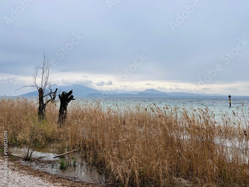Billede på lærred The shore of Lake Garda in Italy in spring in inclement weather, reed beds, wave