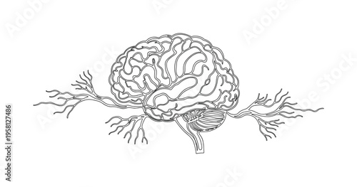 Digital Brain Network. Minimalistic one-line drawing neural connections forming abstract brain-like node structure, continuous single black line on white