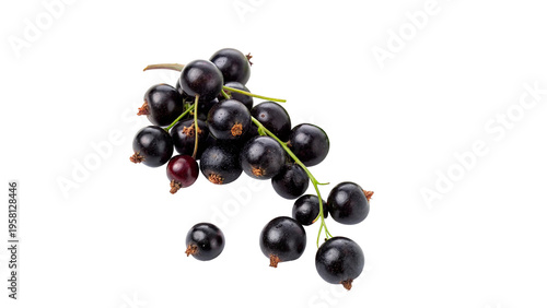 Photos Bunch of black currants isolated on transparent background