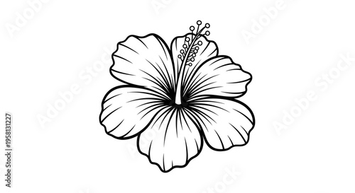 Black and white line art illustration of a tropical hibiscus flower