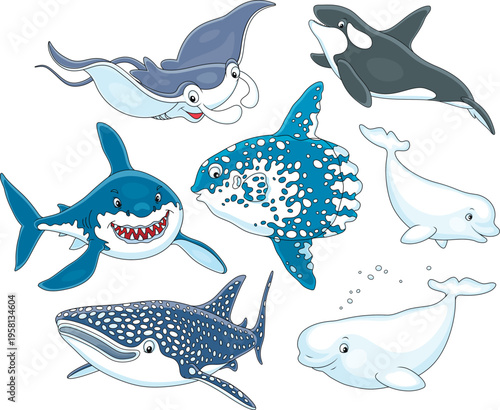 Cartoony sea animals with a manta ray, great white shark, orca, moonfish, beluga, dolphin and whale, a set of vector cartoon illustrations on a white background