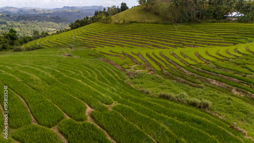 Obraz na plátně Stunning aerial view of the lush green Cadapdapan Rice Terraces in Candijay, Bohol