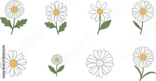 Daisy Flower Collection with Various Bloom Shapes and Botanical Elements in Clean Minimal Illustration Style for Floral and Nature Design Use