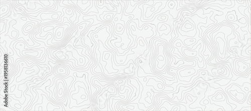 Cuadro en lienzo modern white and grey smooth wave line Topographic Contour Map Pattern Background With Abstract Elevation Lines and Seamless Terrain Texture
