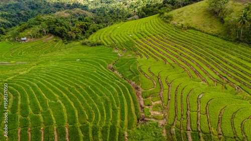 Fotografía Stunning aerial view of the lush green Cadapdapan Rice Terraces in Candijay, Bohol