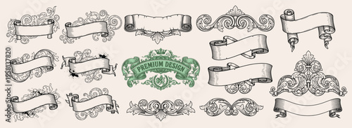 Swirls, Splash, vector drawing art graphic design illustration decorative scroll element ribbon divider template outline