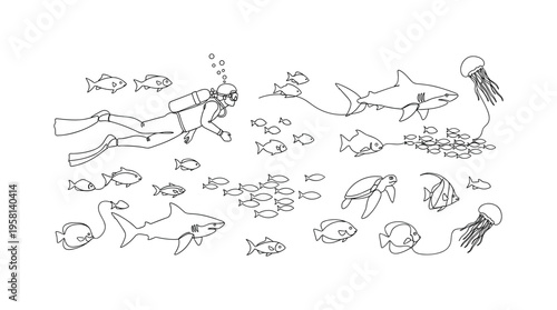 Saving Marine Species. Minimalistic one-line drawing diver observing diverse fish and marine animals under water, continuous single black line on white