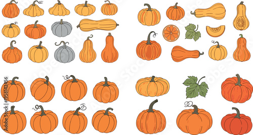 Hand Drawn Pumpkin and Gourd Collection Set Featuring Autumn Harvest Squash Varieties with Organic Rustic Style Isolated on White Background for Seasonal Design