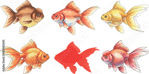 Goldfish Illustration Set with Various Breeds and Styles, Hand Drawn Aquarium Fish Collection Isolated on White Background for Decorative Aquatic Design