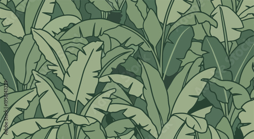 An abstract pattern of overlapping large tropical leaves in varying shades of green