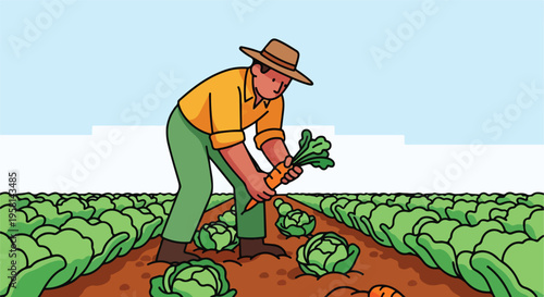 Farmer harvesting fresh carrots and cabbage in a field under a bright sky