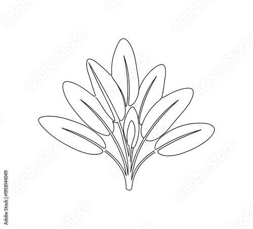 Culinary Sage. Minimalistic one-line drawing sage leaves arranged for cooking or herb display, continuous single black line on white background, simple outline