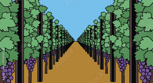 A symmetrical vineyard with rows of grapevines under a clear sky