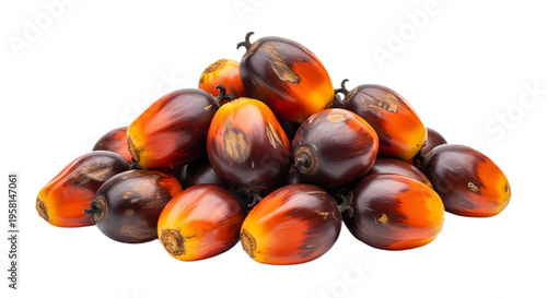 Pile of Overripe Oil Palm Fruits with Wrinkled Texture Isolated on White Background