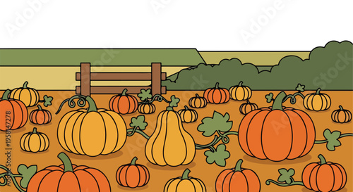 A bountiful harvest of pumpkins of various sizes and colors scattered across a field